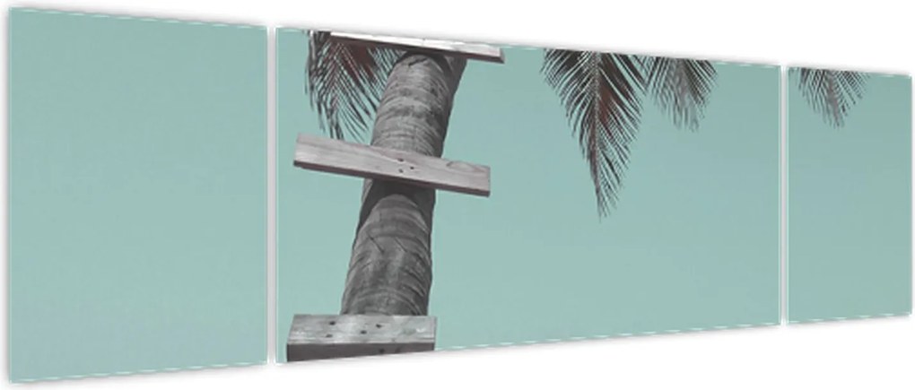 Obraz - Palma na Karaibach (170x50 cm)