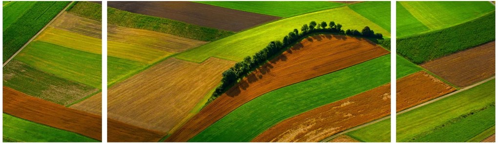 Obraz - Pola, łąki (170x50 cm)