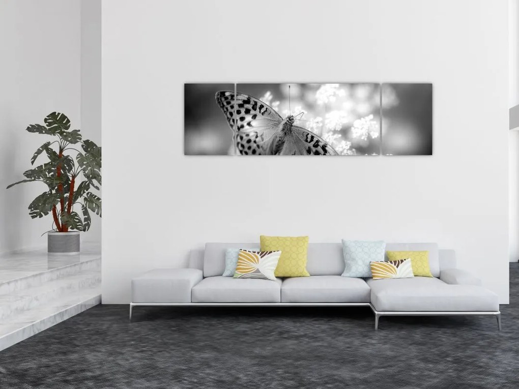 Obraz - Szczegół motyla zapylającego kwiat (170x50 cm)