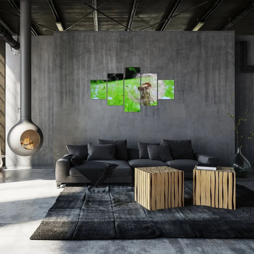 Obraz dmuchawca (125x70 cm)