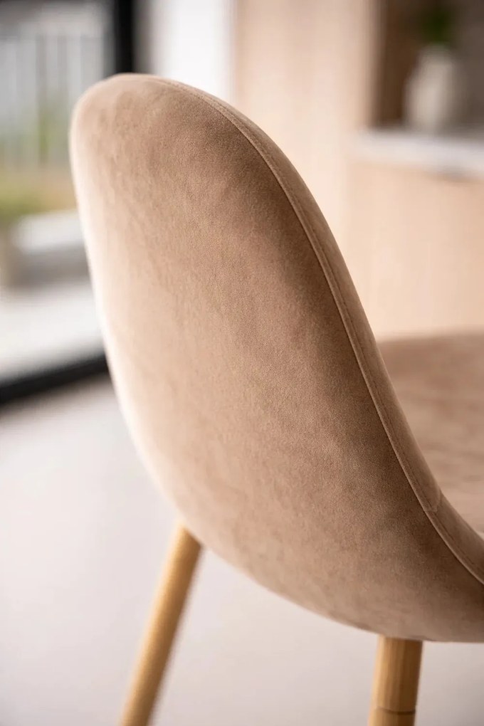 Aksamitny stoek Teok