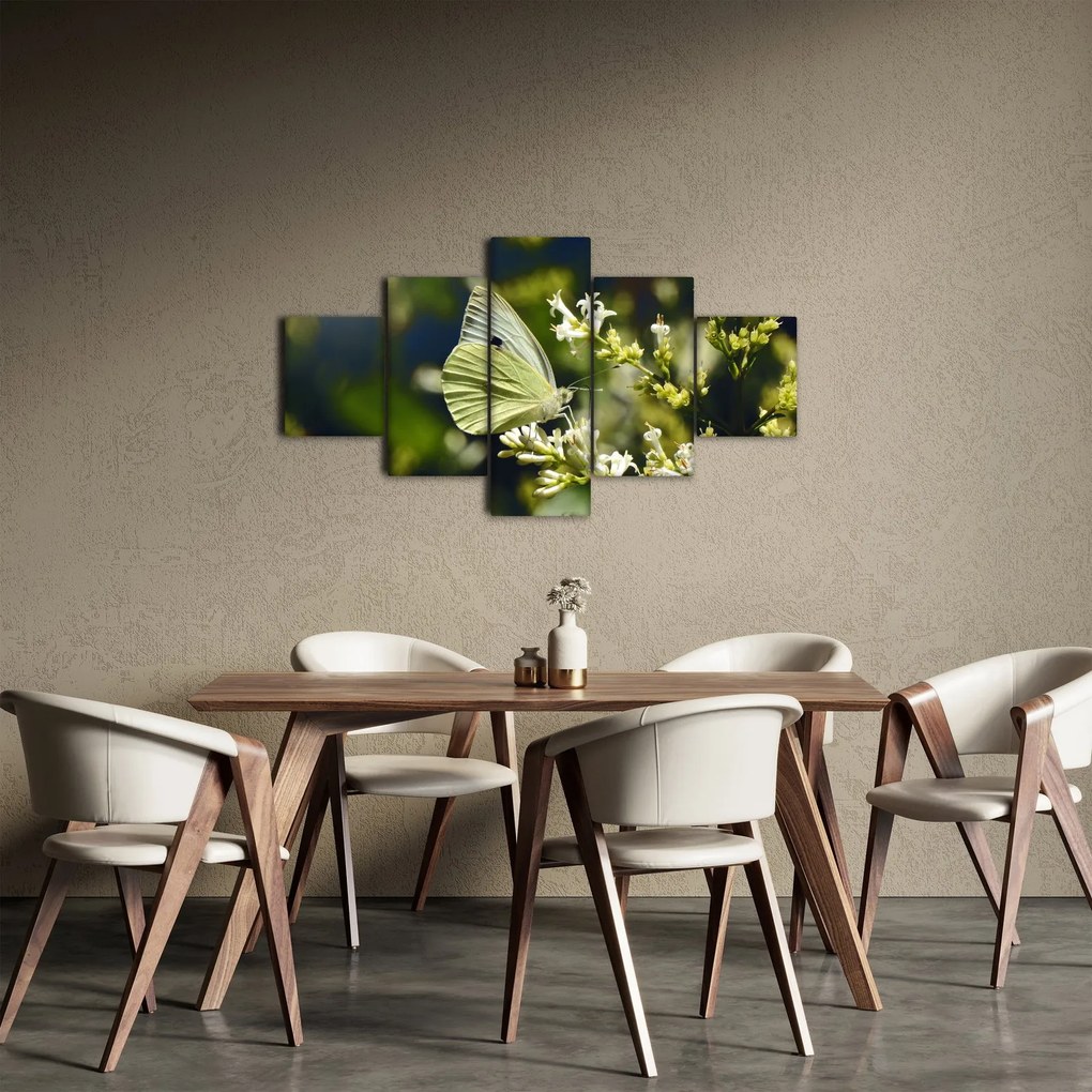 Obraz motyla (125x70 cm)