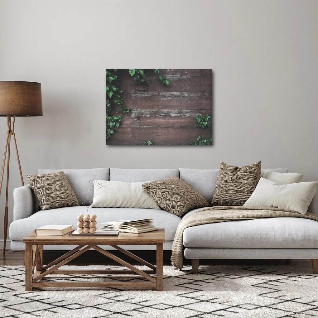 Obraz - Bluszcz (70x50 cm)