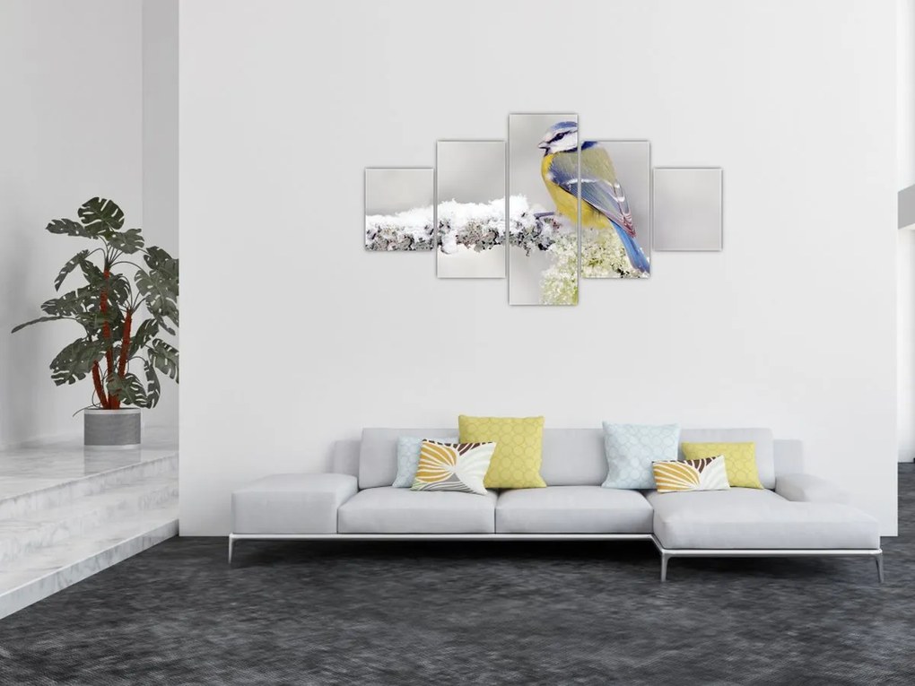 Obraz - Sikora modraszka w lesie (125x70 cm)