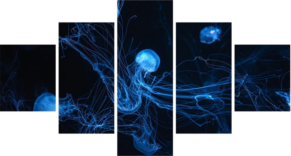 Obraz - Meduza (125x70 cm)