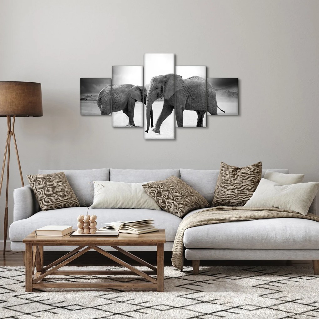 Obraz - czarno - białe słonie (125x70 cm)