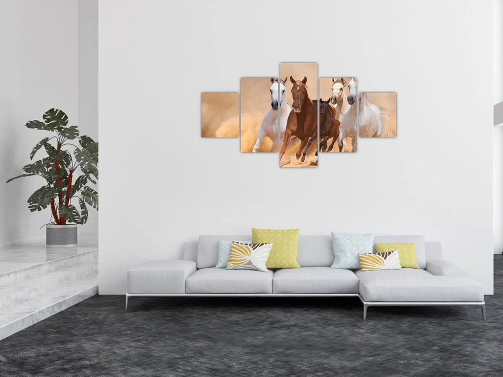 Obraz - Stado koni (125x70 cm)