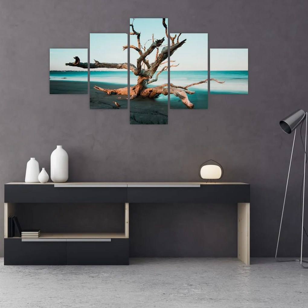 Obraz -  Wyłowiono na plaży (125x70 cm)