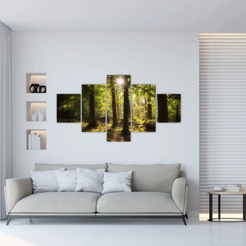 Obraz sennego lasu (125x70 cm)