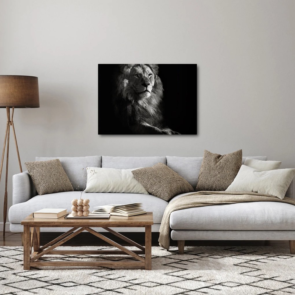 Obraz - Lew (70x50 cm)