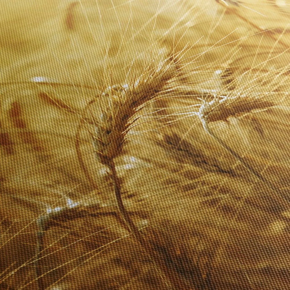 Obraz - Kłosy zboża (z zegarem) (90x30 cm)