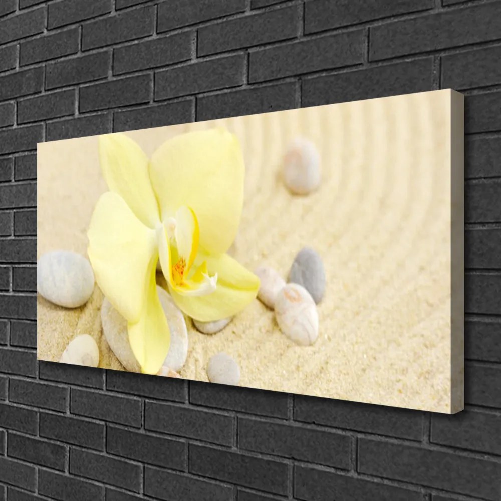 Obraz na płótnie Klasyczna Elegancja Kwiatów