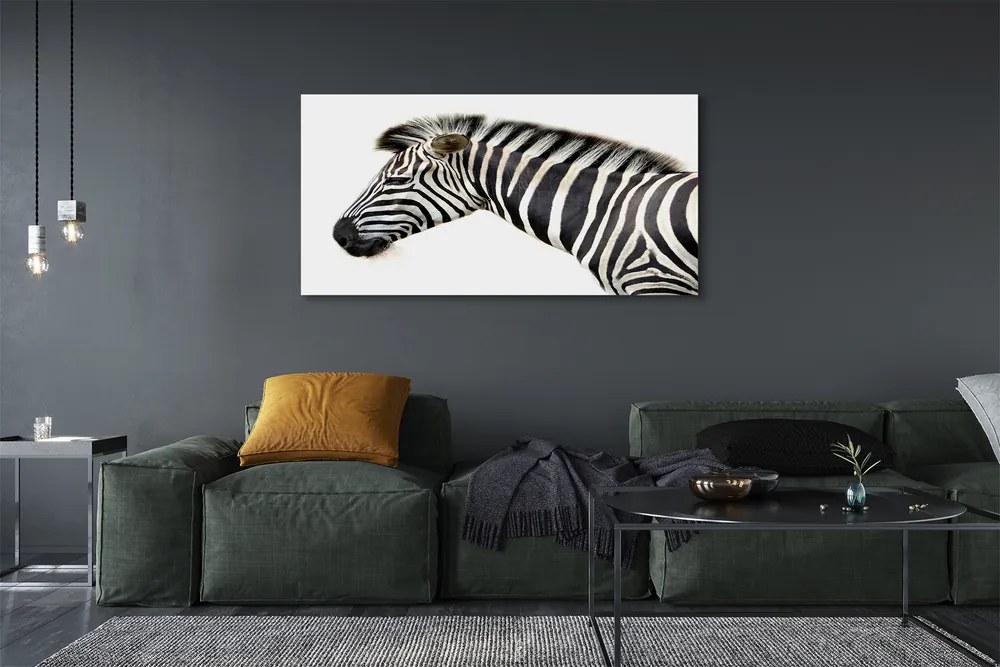 Zdjęcie na płótnie Samotna Zebra