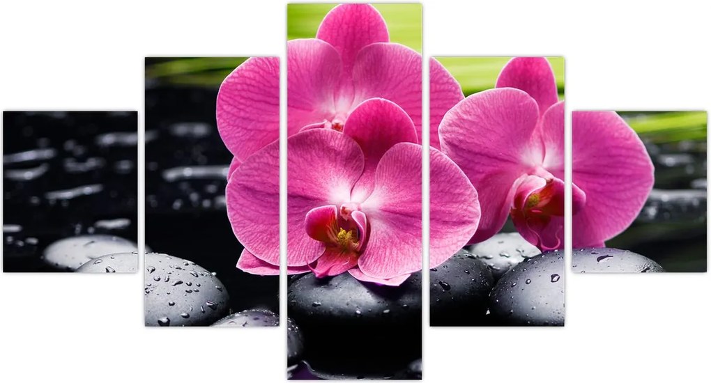Obraz - Różowe orchidee z liściem palmy (125x70 cm)