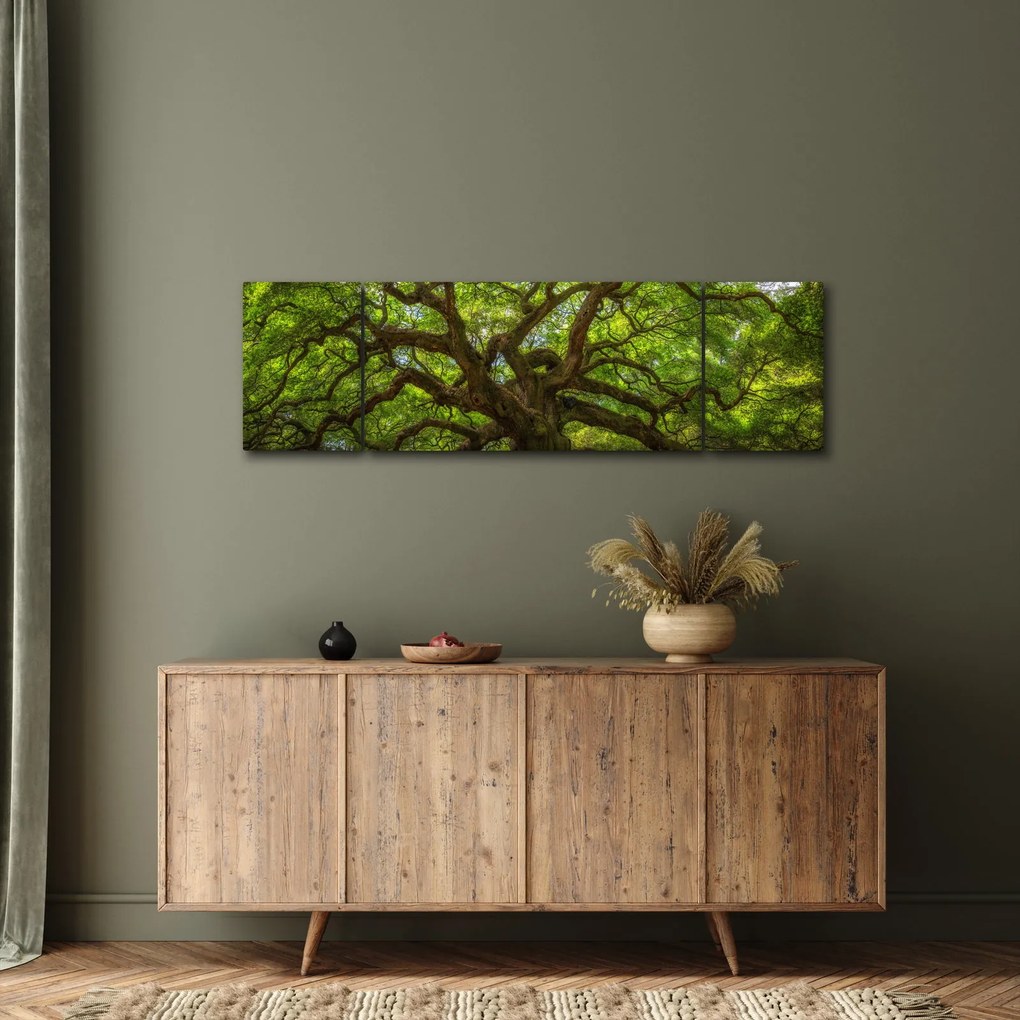 Obraz - Zielone drzewo (170x50 cm)
