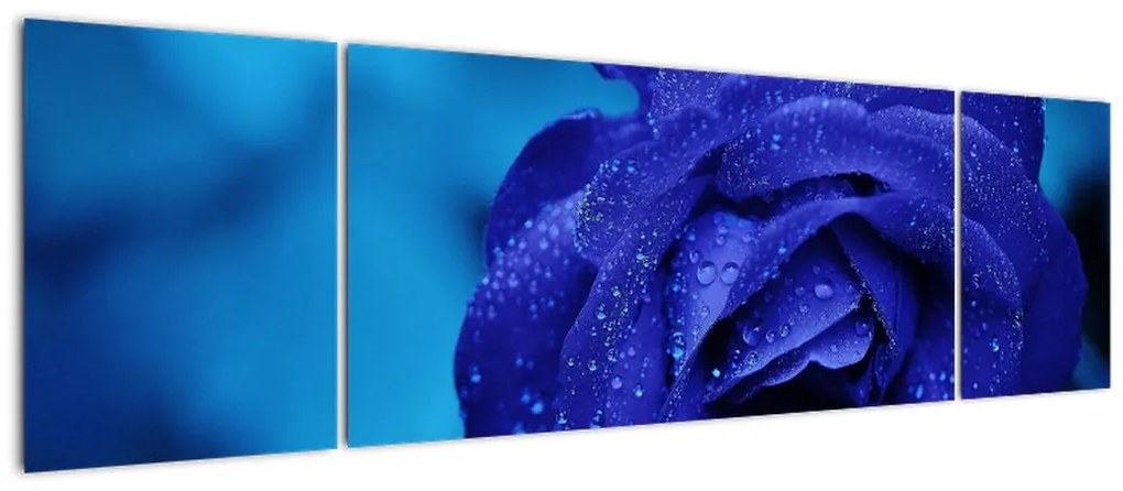 Obraz niebieskiej róży (170x50 cm)