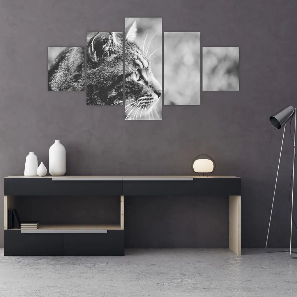 Obraz - Kot (125x70 cm)