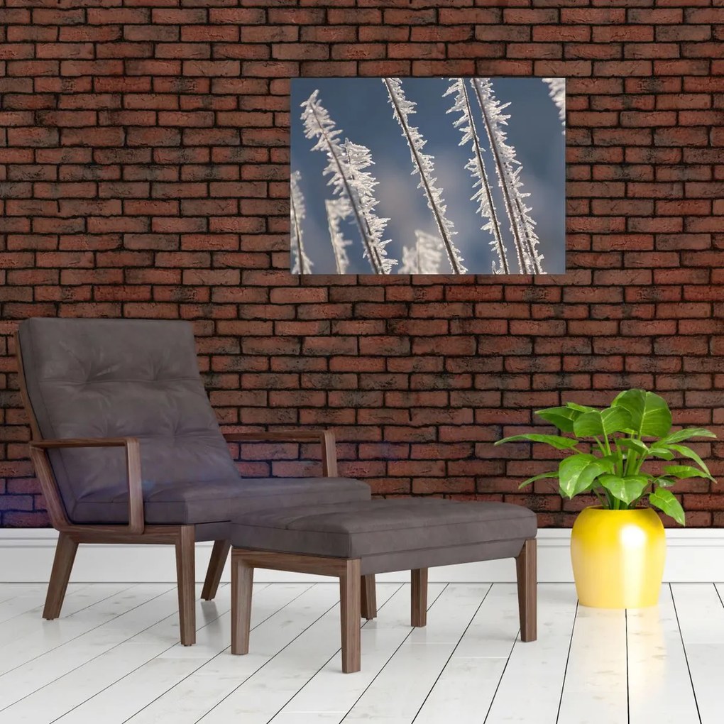 Obraz - Dziadek Mróz (70x50 cm)