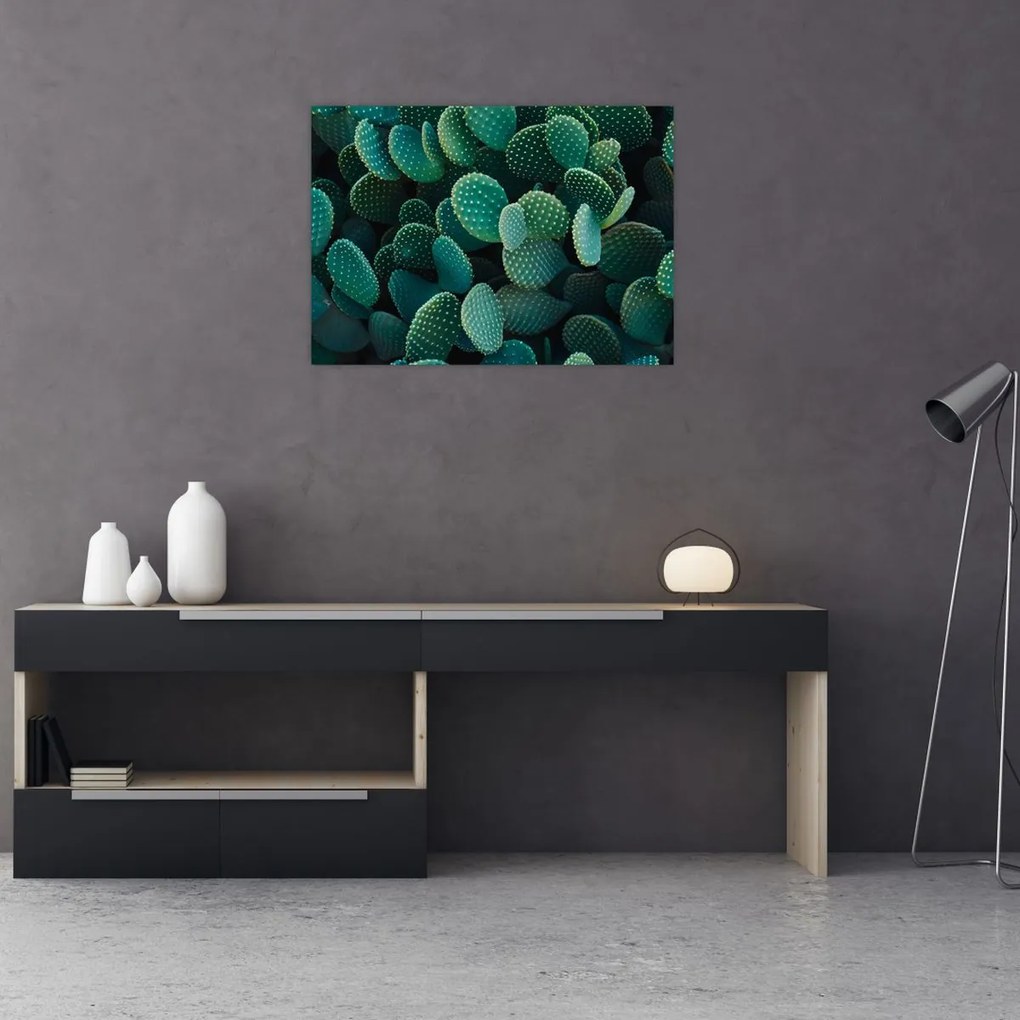 Obraz - Opuncja (70x50 cm)
