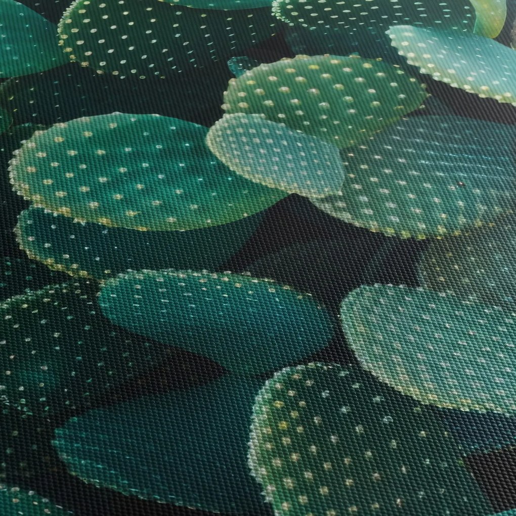 Obraz - Opuncja (125x70 cm)