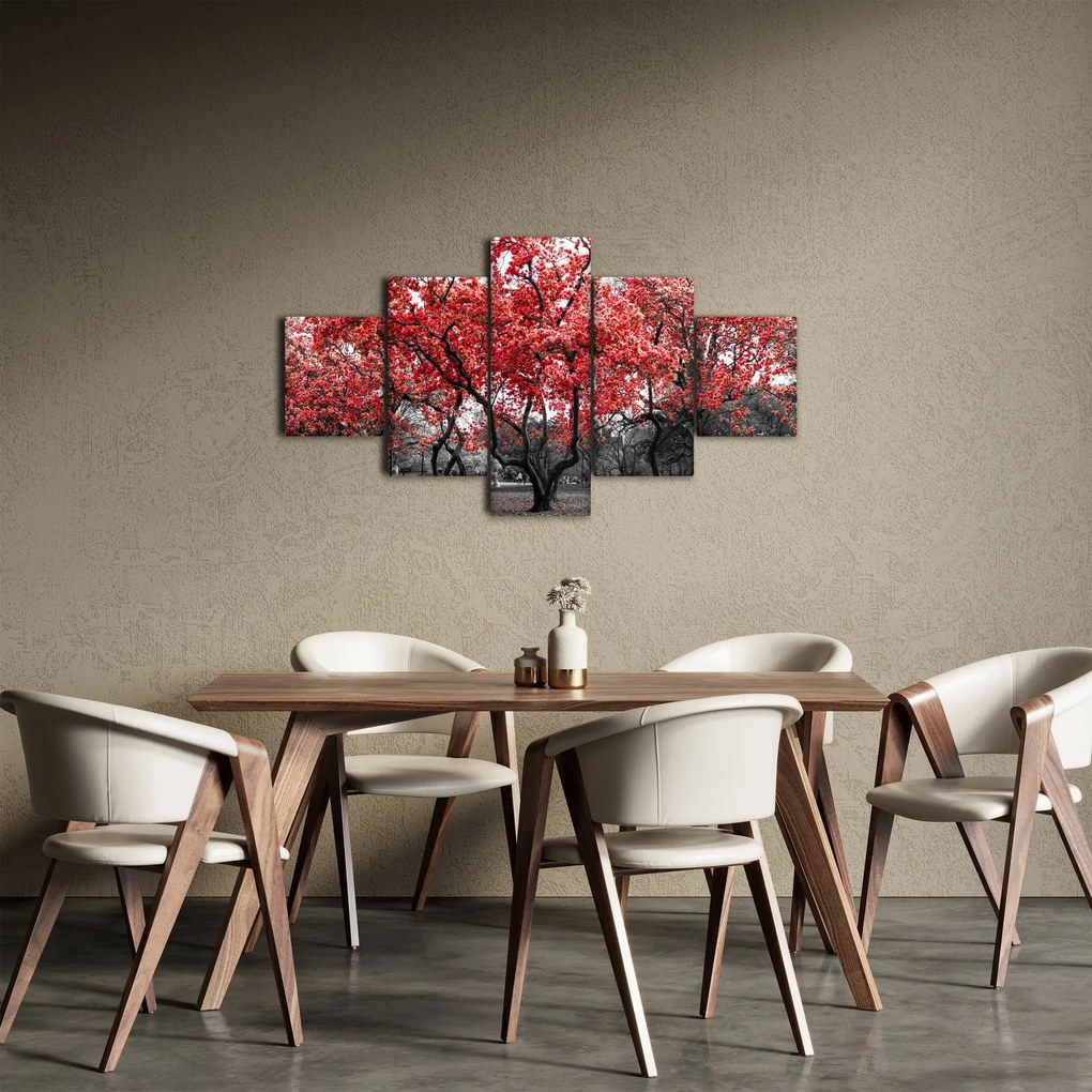 Obraz - Czerwone drzewa, Central Park, New York (125x70 cm)