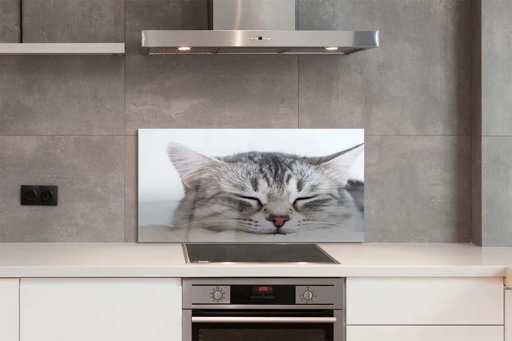 Szkło do Kuchni na Ścianę Słodki Sen Śpiącego Kota