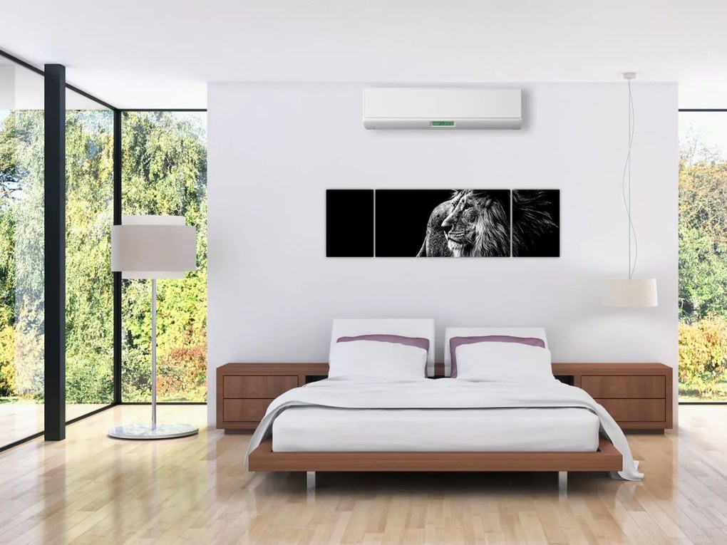 Obraz - Lew, czarno-biały (170x50 cm)