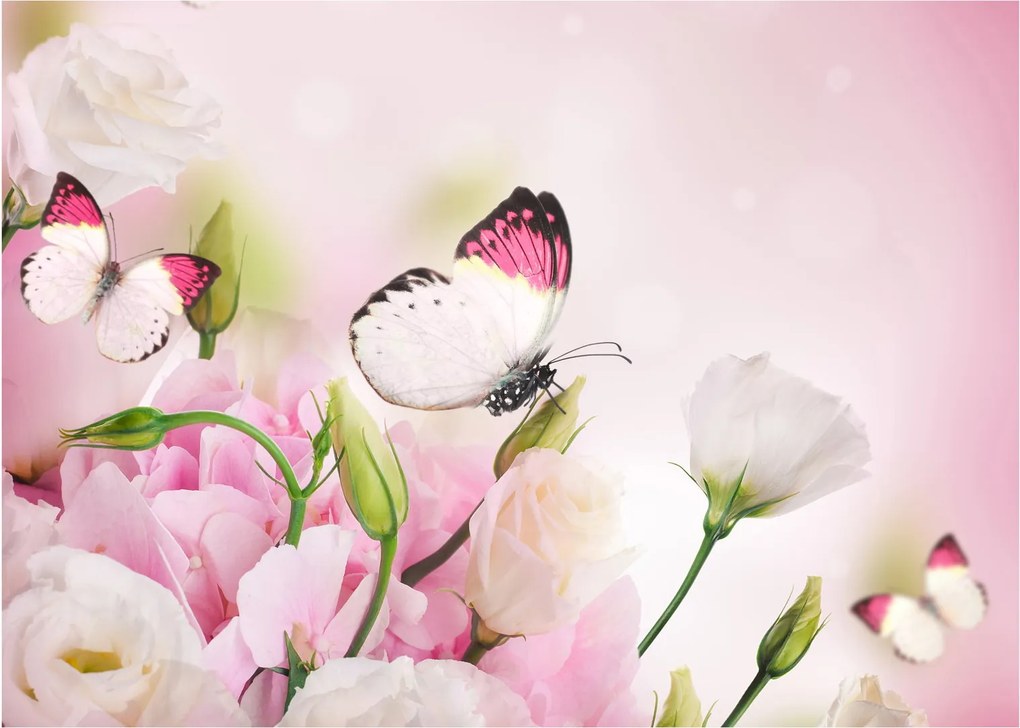 Obraz na szkle - Motyl (70x50 cm)