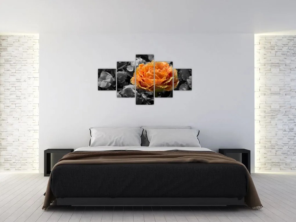Obraz kwiatu (125x70 cm)