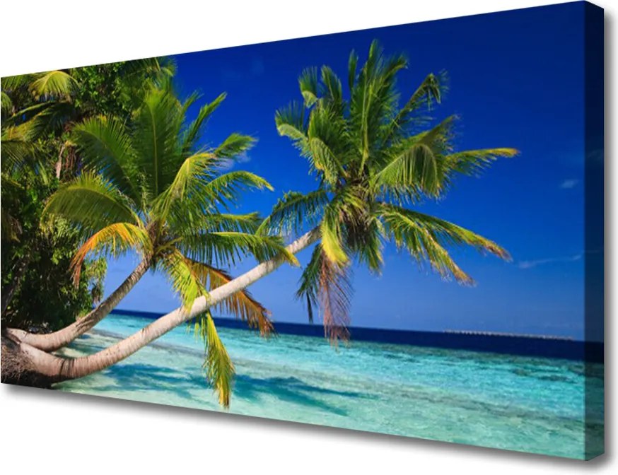 Zdjęcie na płótnie Tropikalny Brzeg z Palmą