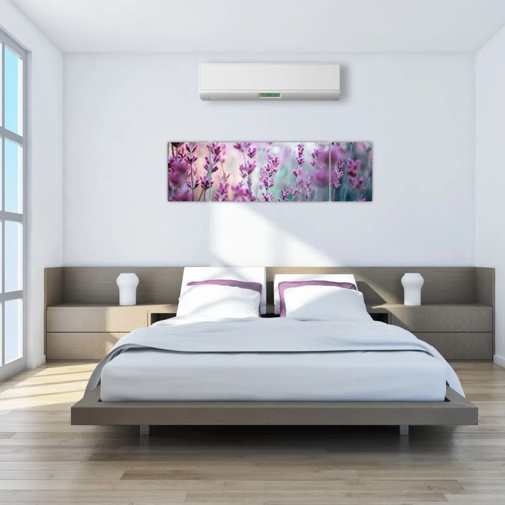Obraz - Lawenda (170x50 cm)
