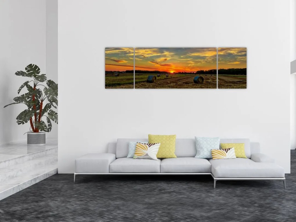 Obraz - Wiejskie bale (170x50 cm)