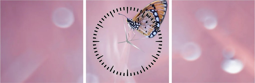 Obraz - Motyl (z zegarem) (90x30 cm)