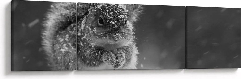 Obraz - Wiewiórka zimą (170x50 cm)
