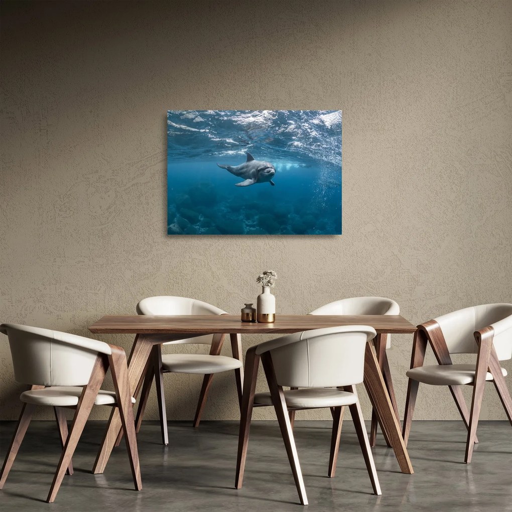 Obraz na szkle - Delfin pod wodą (70x50 cm)
