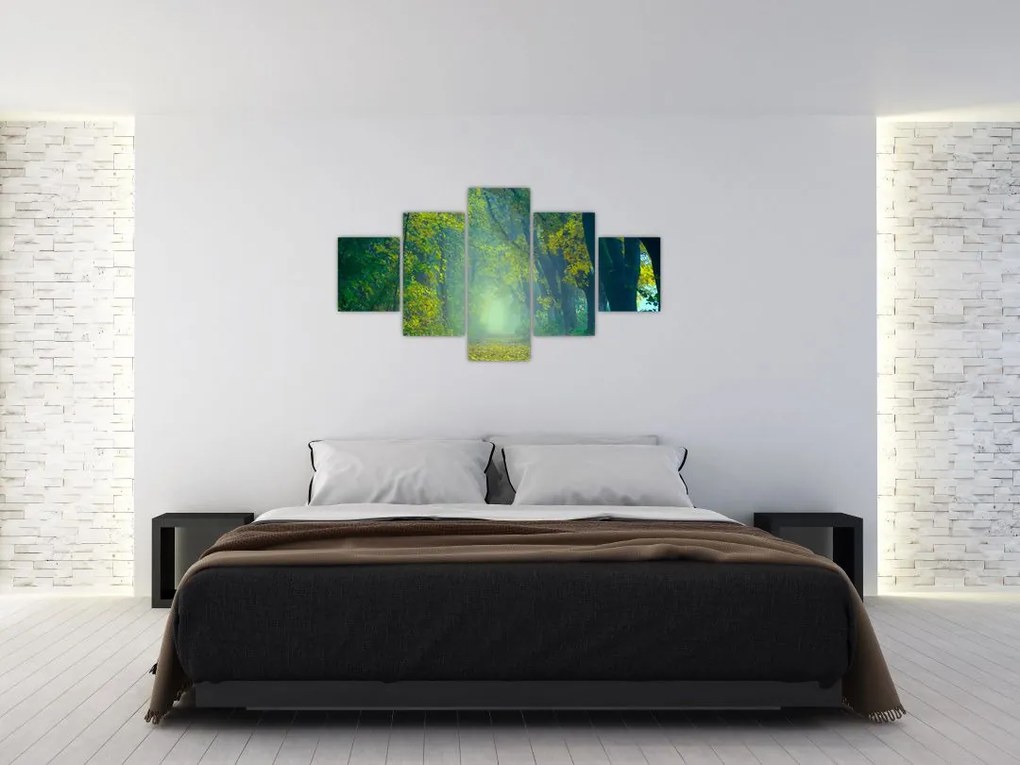 Obraz drogi wysadzanej drzewami (125x70 cm)