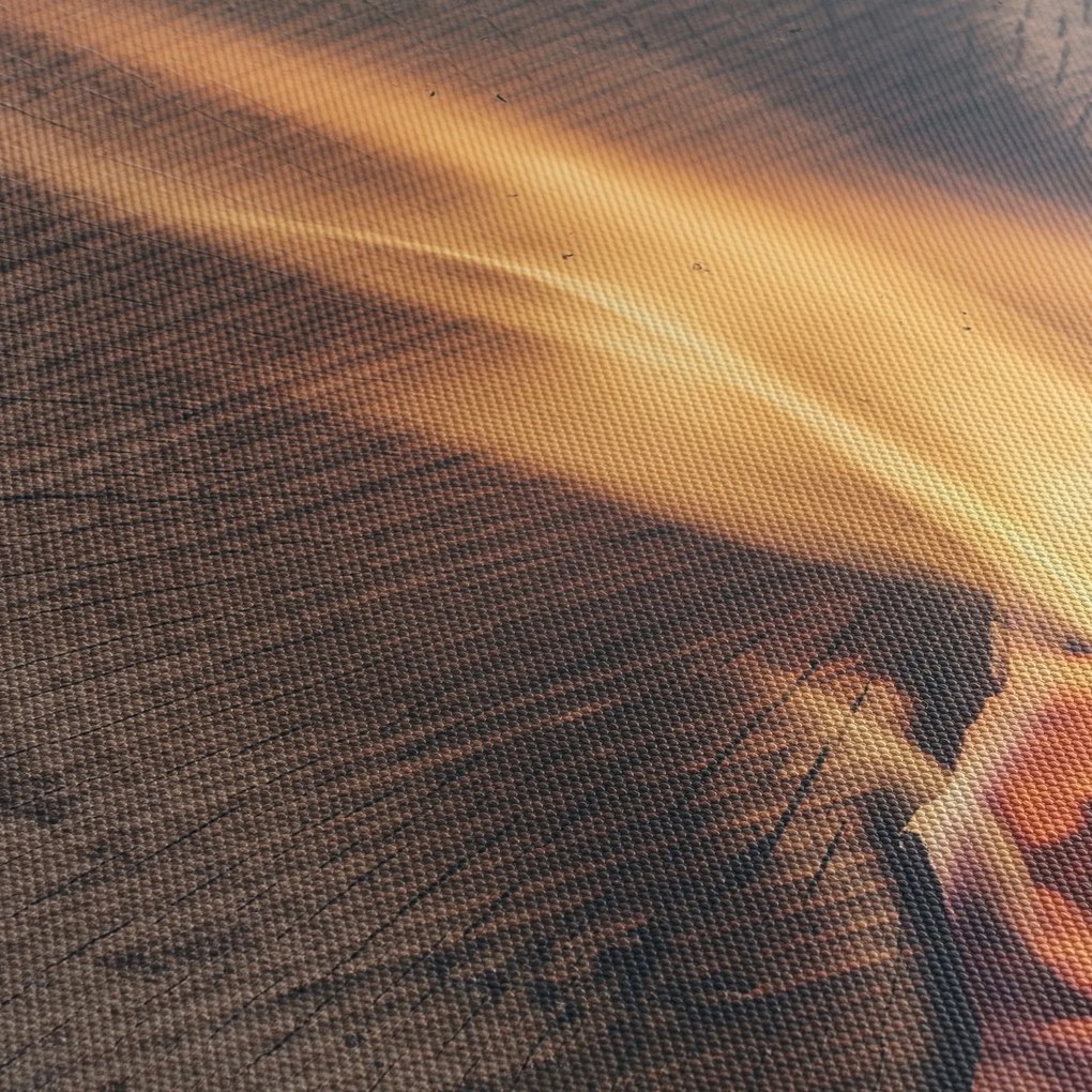 Obraz płonącego drewna (170x50 cm)