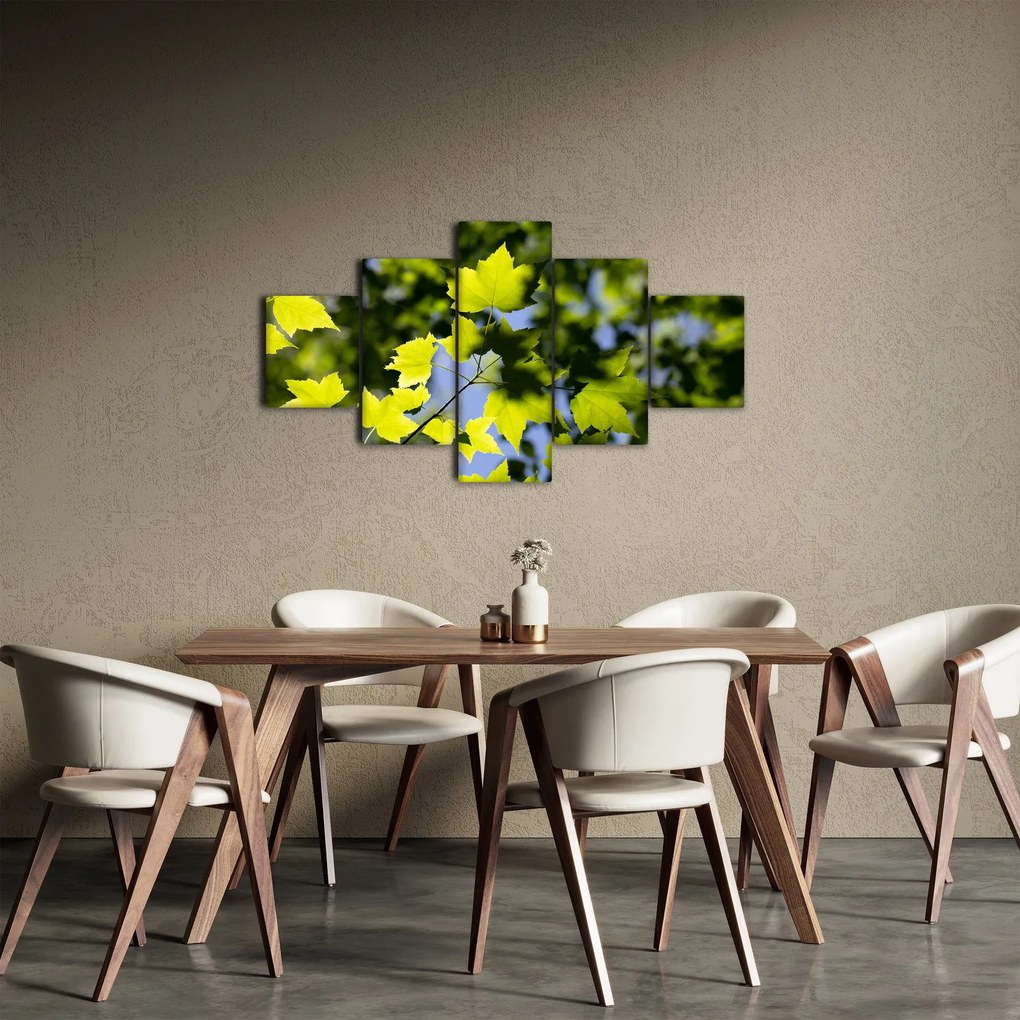 Obraz - liście klonu (125x70 cm)