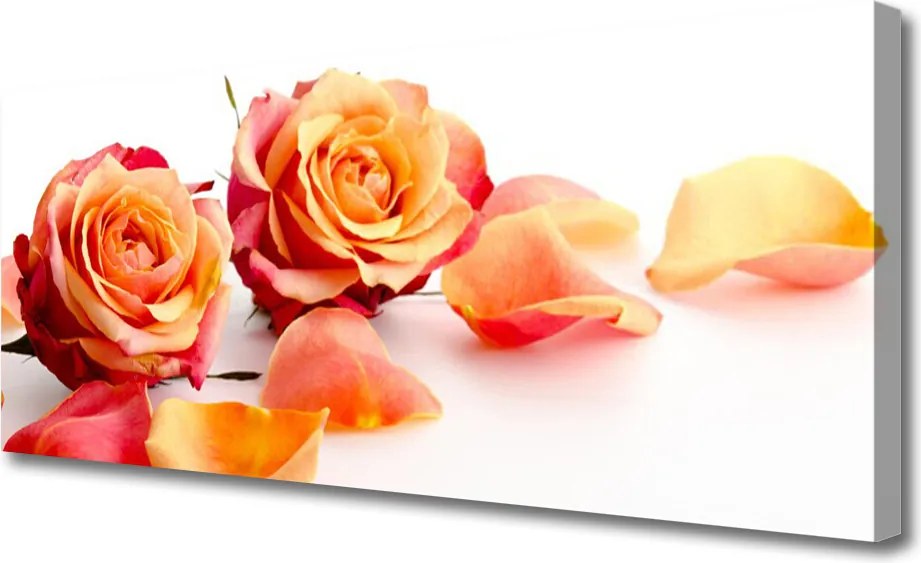 Obraz canvas Aksamitne Róże w Ogrodzie