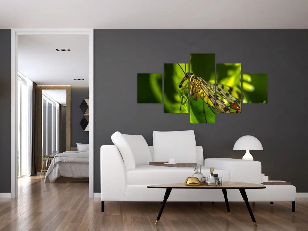 Obraz owada (125x70 cm)