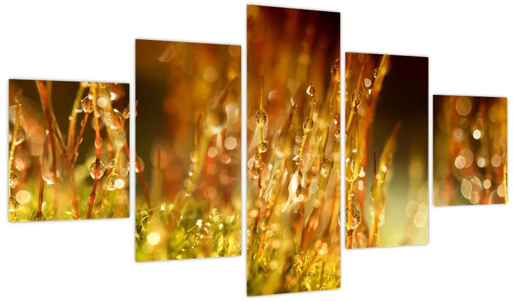 Obraz - Szczegół rosy (125x70 cm)