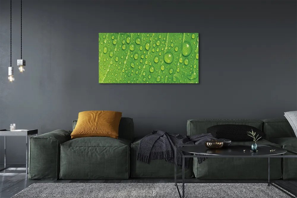 Zdjęcie na płótnie Makro Detal Liścia z Rosą