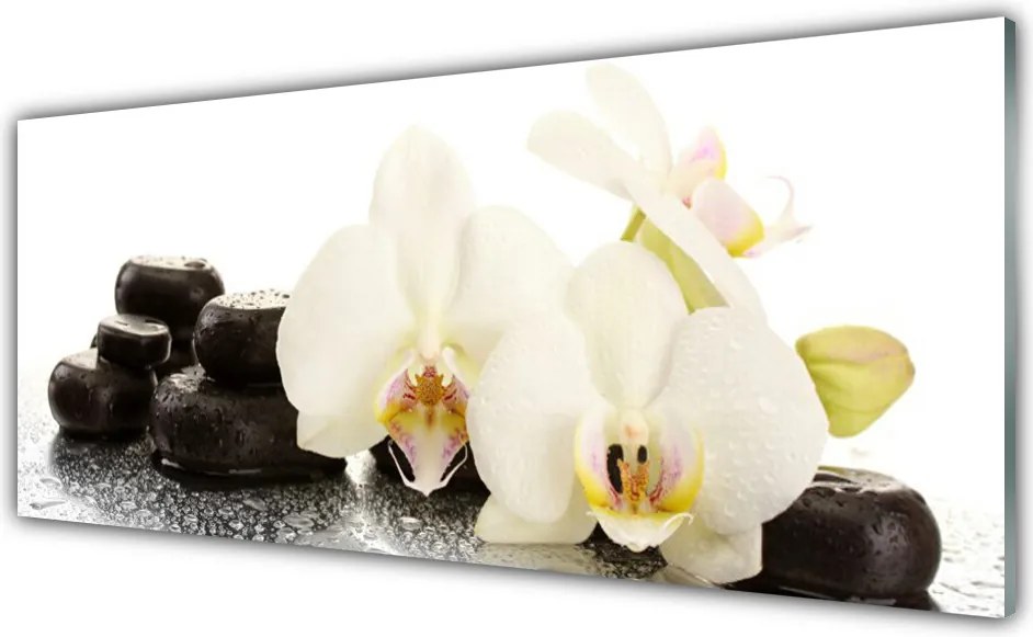 Panel Szklany do Kuchni Aksamitna Biała Orchidea
