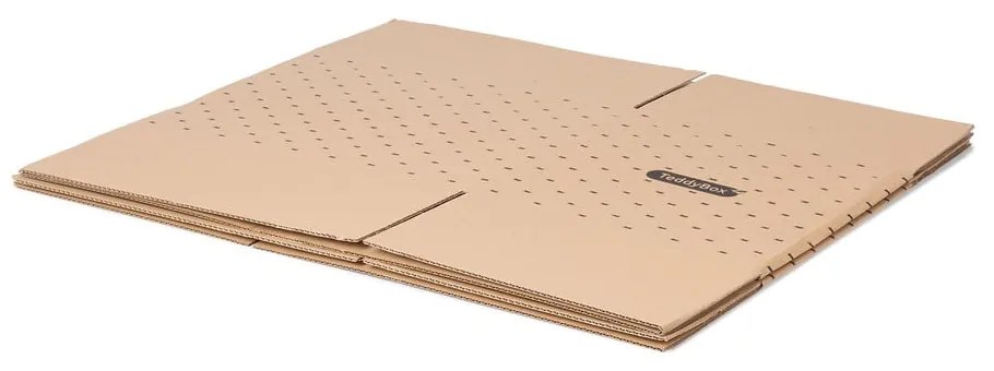 Zestaw 2 beżowych pudełek do przechowywania Compactor Teddy, 42 x 30 cm