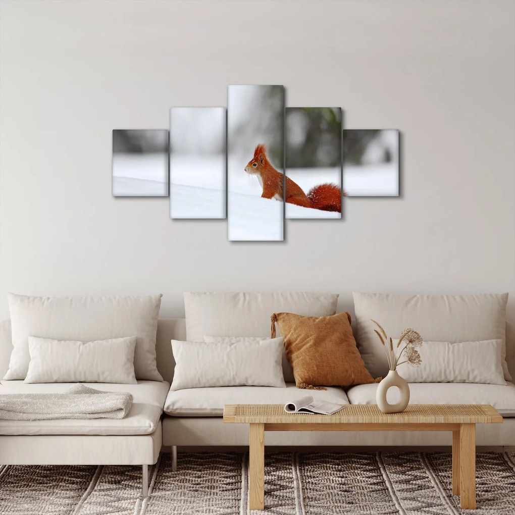 Obraz wiewiórki (125x70 cm)