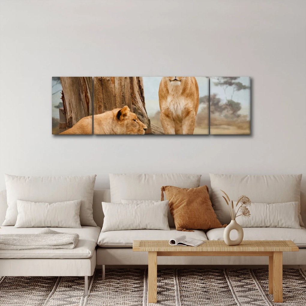 Obraz - dwie lwice (170x50 cm)