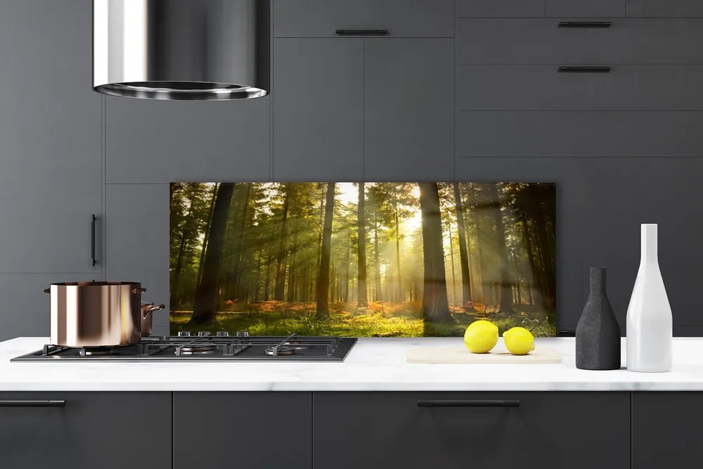 Panel Kuchenny Bór Sosnowy W Słońcu