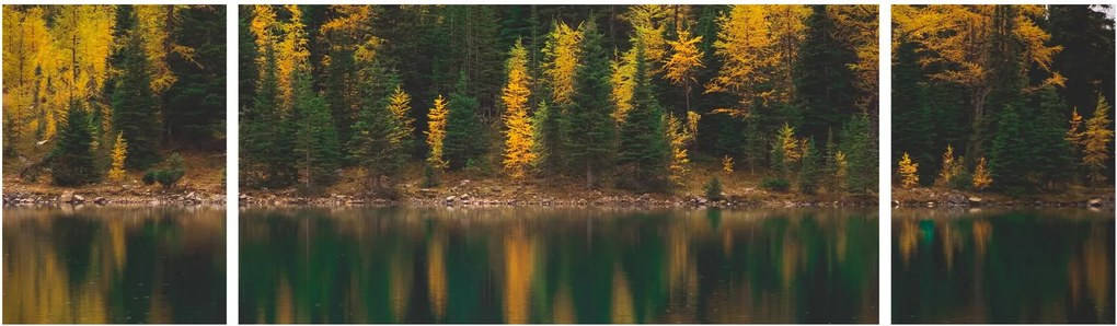 Obraz leśnego jeziora (170x50 cm)