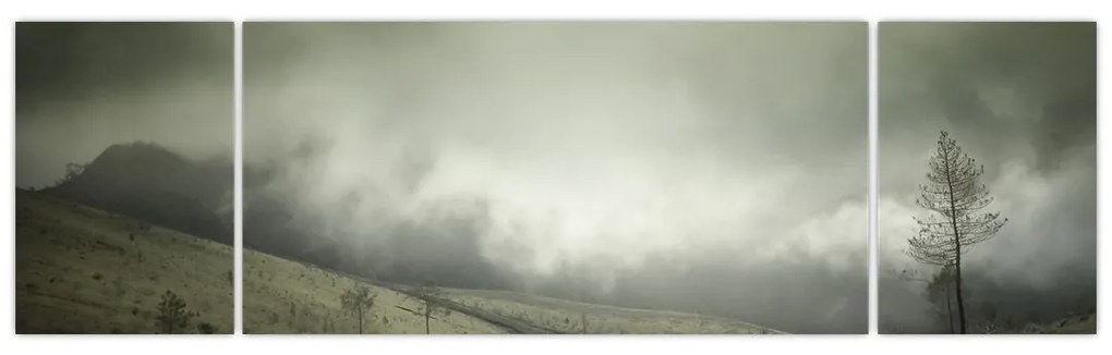 Obraz krajobrazu przed burzą (170x50 cm)