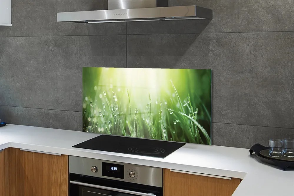 Szklany Panel Trawa w Promieniach Słońca